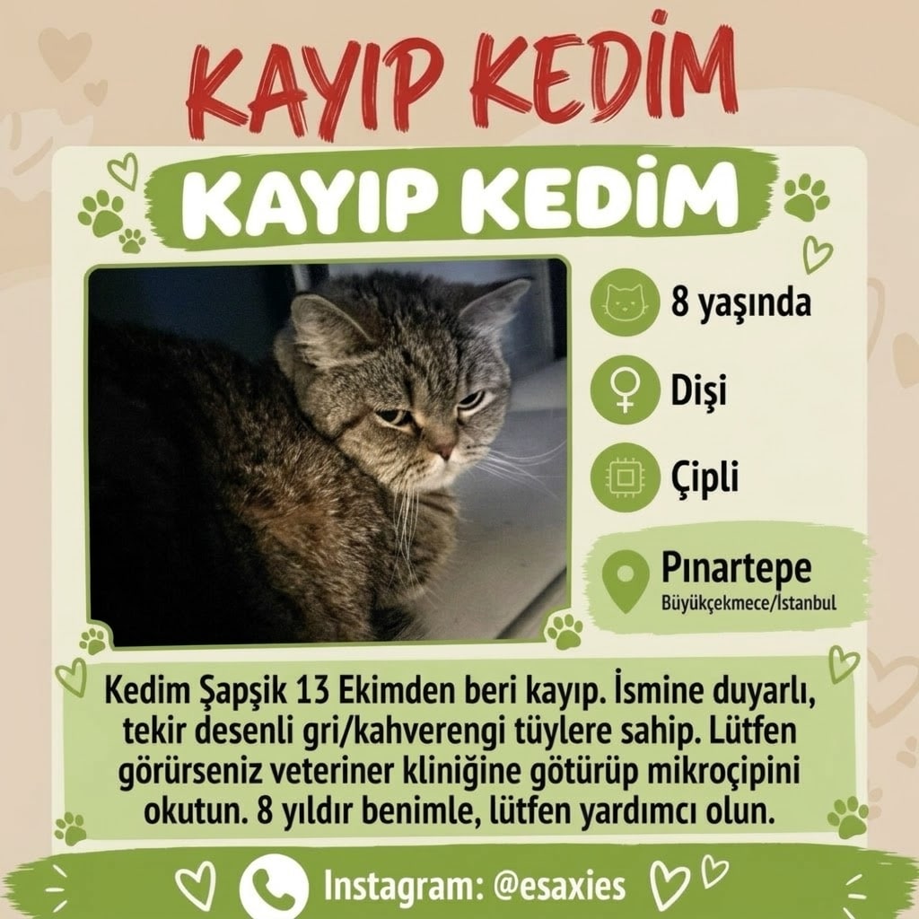 Şapşik ilan fotoğrafı, 1/5